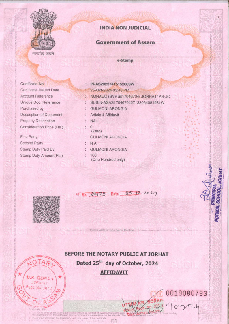 affidavit 2024 Page1